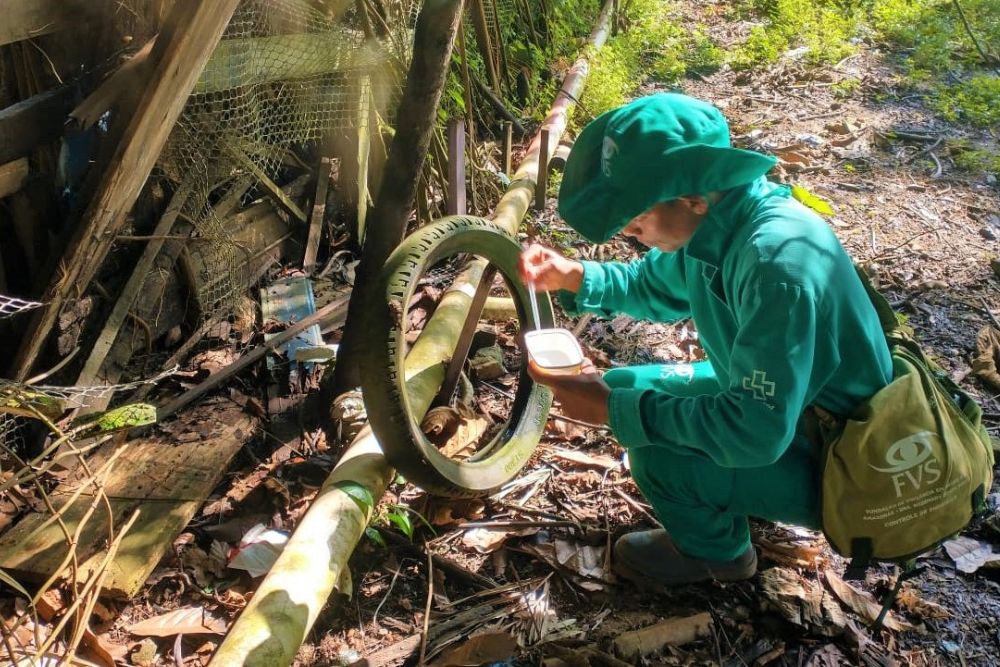 Dengue lidera registros de arboviroses no Amazonas em 2025, aponta boletim Dengue lidera registros de arboviroses no Amazonas em 2025, aponta boletim