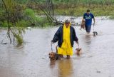 Mais de 10 mil animais já foram resgatados das enchentes do RS
