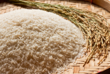 Governo, indústria e produtor fazem acordo para monitorar preço do arroz