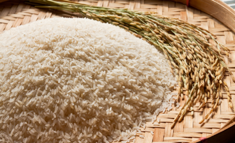 Governo, indústria e produtor fazem acordo para monitorar preço do arroz