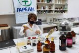 Pesquisa realiza avaliação química e biológica de plantas da Região Amazônica