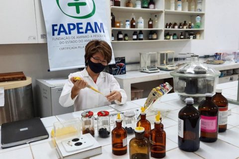 Pesquisa realiza avaliação química e biológica de plantas da Região Amazônica