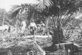 Cineclube de Arte exibe filme de Silvino Santos perdido desde 1930 neste sábado (18)