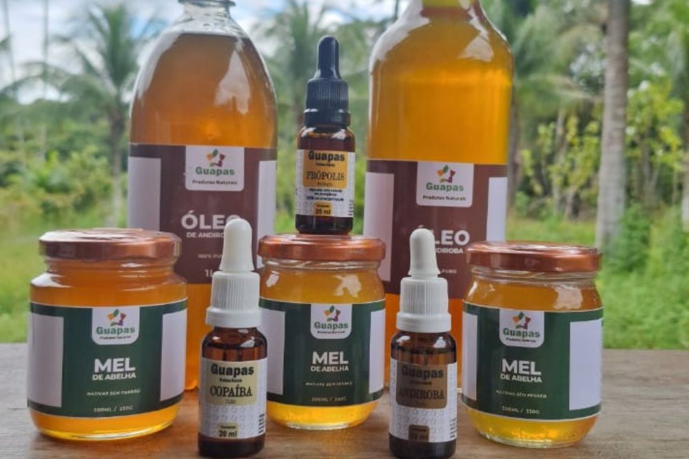 APA Caverna do Maroaga vai receber disgn&oacute;stico da cadeia produtiva de mel