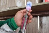 Idam une forças com Adaf para receber notificações de vacina contra febre aftosa