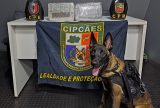 Cães da narcóticos auxiliaram na apreensão de mais de meia tonelada de drogas no Amazonas