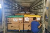 Correios arrecadam mais de 15 mil toneladas de donativos para vítimas do Rio Grande do Sul