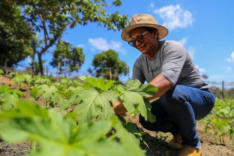 Amazonas apoia agricultores que tiveram perdas durante a última seca