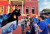 Boi Caprichoso doa acervo ao Museu de Parintins e entra para história do município