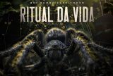Boi Caprichoso lança novo single 'Ritual da Vida' 2024