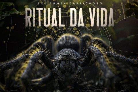 Boi Caprichoso lança novo single 'Ritual da Vida' 2024