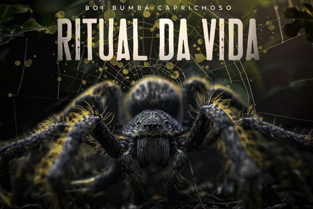 Boi Caprichoso lança novo single 'Ritual da Vida' 2024 Boi Caprichoso lança novo single 'Ritual da Vida' 2024