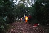 Paraquedista cai em área de mata e fica preso em arvore após ter problemas com equipamento em Manaus