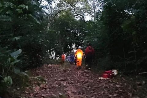 Paraquedista cai em área de mata e fica preso em arvore após ter problemas com equipamento em Manaus
