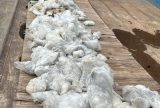 Base Arpão 2: Quase uma tonelada do mineral vivianita é apreendida em embarcação no Rio Negro