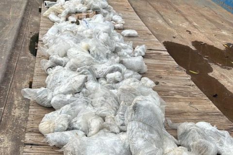Base Arpão 2: Quase uma tonelada do mineral vivianita é apreendida em embarcação no Rio Negro