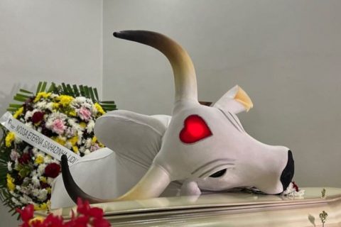 Boi Garantido faz homenagem a Djidja Cardoso durante velório da ex-sinhazinha
