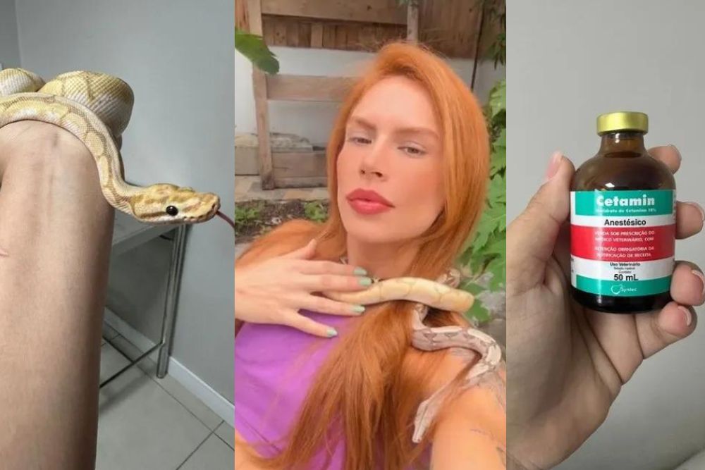 Polícia vai investigar denúncias de maus tratos a cobras e cães de Djidja Cardoso Polícia vai investigar denúncias de maus tratos a cobras e cães de Djidja Cardoso