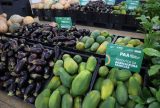 Programa de Aquisição de Alimentos beneficia mais de 1,2 mil produtores rurais no Amazonas