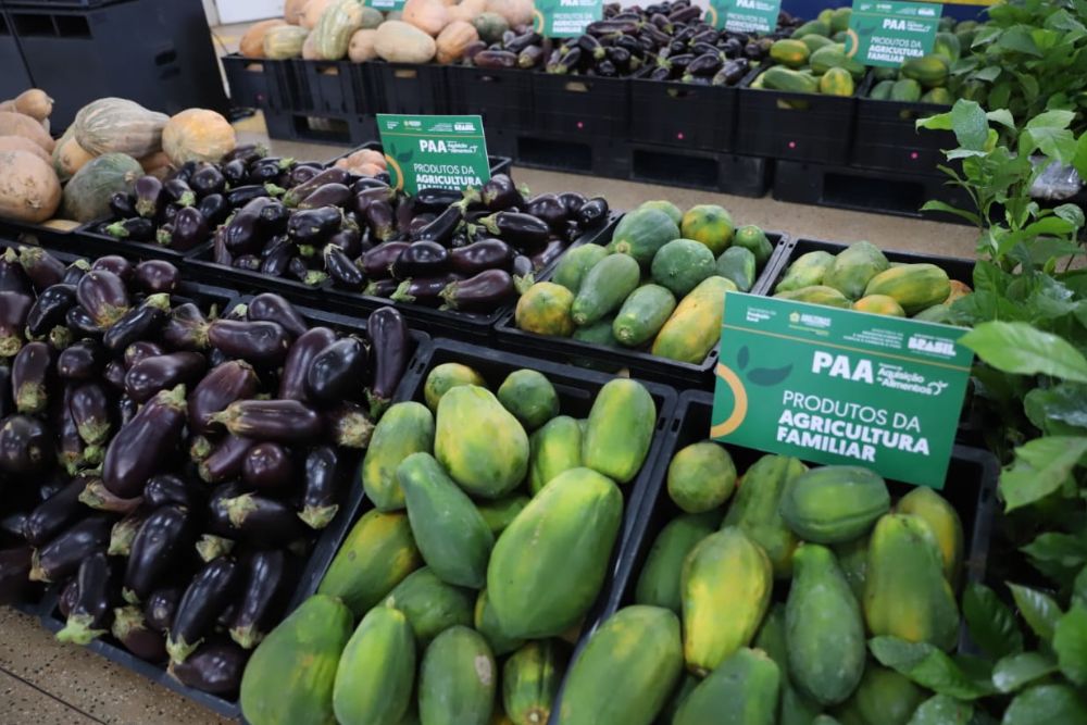 Programa de Aquisição de Alimentos beneficia mais de 1,2 mil produtores rurais no Amazonas Programa de Aquisição de Alimentos beneficia mais de 1,2 mil produtores rurais no Amazonas