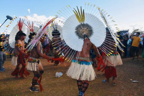 Índice de alfabetização entre indígenas é maior em territórios protegidos