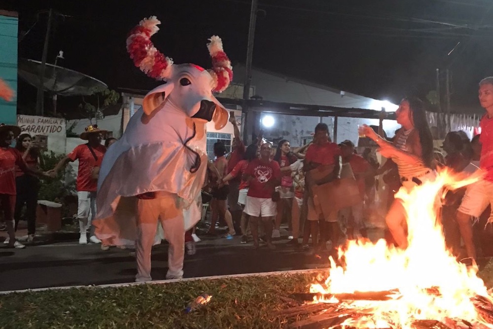 Boi Garantido realiza tradicional saída nas ruas em homenagem aos namorados Boi Garantido realiza tradicional saída nas ruas em homenagem aos namorados