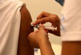 Dengue: Brasil aplicou 2 milhões do total de 4,7 milhões de doses