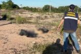 Corpo de homem é encontrado com saco preto na cabeça e marcas de facada no bairro Colônia Santo Antônio