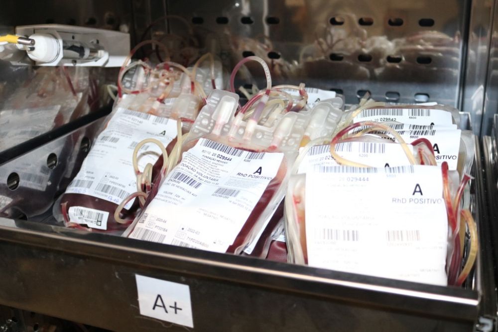 FCecon alerta sobre import&acirc;ncia da doa&ccedil;&atilde;o de sangue para tratamento de c&acirc;ncer
