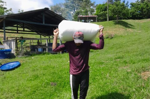 Câmara aprova política que estimula permanência de jovens no campo