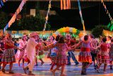 Conselho Nacional aprova novo Plano Nacional de Cultura com ampla maioria