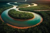 Amazônia recebe R$ 318 milhões para ações de combate ao desmatamento