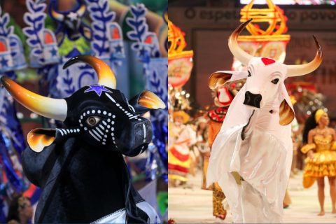Festival de Parintins 2024: Conheça a histórica competição folclórica dos bois-bumbás Caprichoso e Garantido