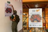Ibama-AM promove campanha ‘Não tire as penas da Vida’ em Parintins