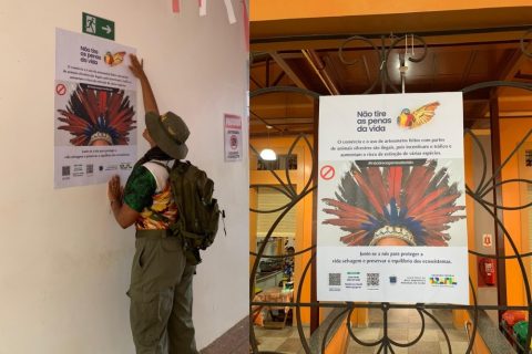Ibama-AM promove campanha ‘Não tire as penas da Vida’ em Parintins