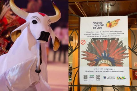 Boi Garantido participa da campanha ‘Não Tire as Penas da Vida’ em defesa da fauna silvestre