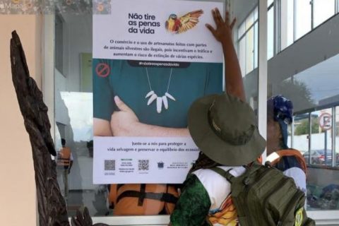 Ibama realiza palestras em escolas de Parintins com foco na campanha 'Não Tire as Penas da Vida'