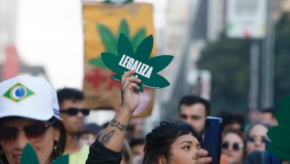 STF retoma julgamento sobre descriminalização de maconha STF retoma julgamento sobre descriminalização de maconha