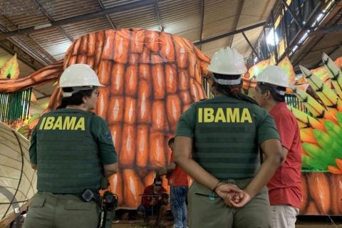 Ibama vistoria fantasias de Garantido e Caprichoso nos galpões dos bumbás