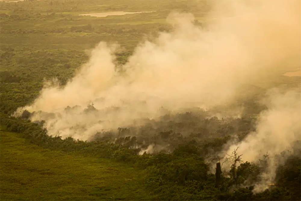 Mato Grosso Do Sul Decreta Situação De Emergência Em Municípios