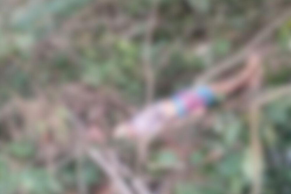 Homem é executado a tiros em área de mata no bairro Jorge Teixeira Homem é executado a tiros em área de mata no bairro Jorge Teixeira