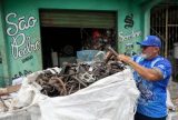 Boi Caprichoso cria diretoria de sustentabilidade e meio ambiente