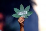 Entenda a decisão do STF sobre descriminalização do porte de maconha