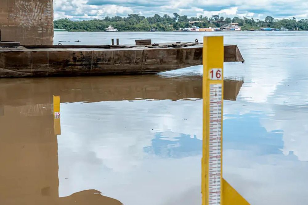 Especialista alerta para efeitos da seca severa na Amazônia em 2024 Especialista alerta para efeitos da seca severa na Amazônia em 2024