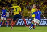 Brasil enfrenta Colômbia pela liderança do Grupo D da Copa America