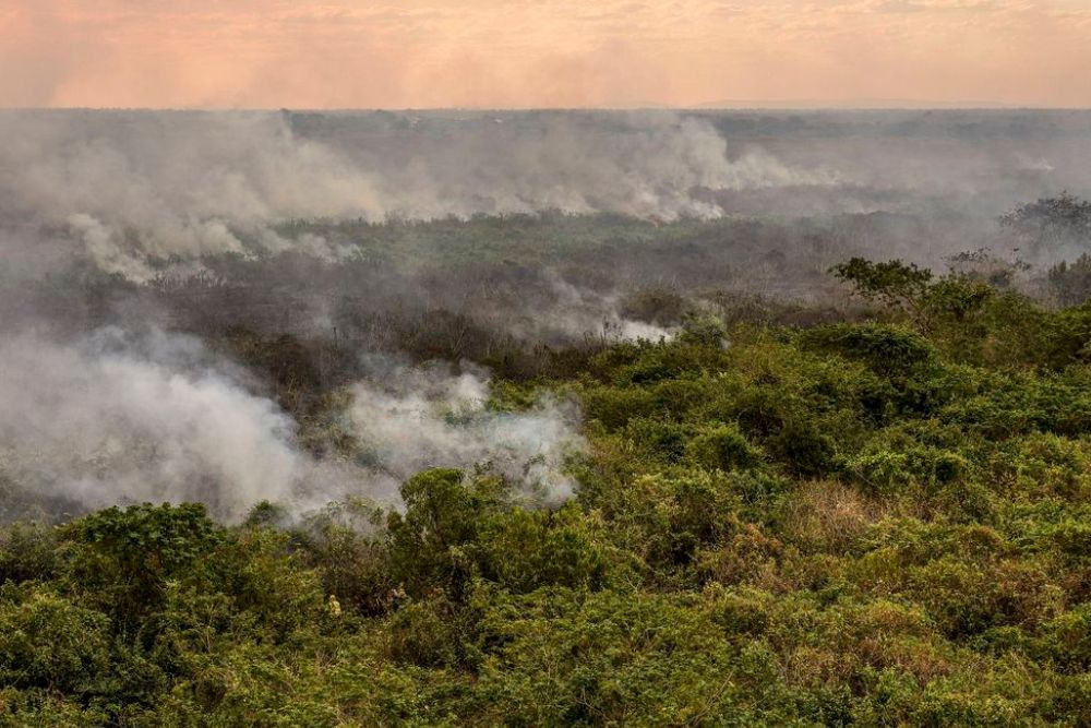 Governo federal aprova planos contra desmatamento no Pantanal e na Caatinga  - Portal do Marcos Santos