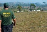 Ibama divulga locais de prova do concurso 2025 para 460 vagas