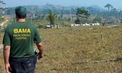 Ibama divulga locais de prova do concurso 2025 para 460 vagas