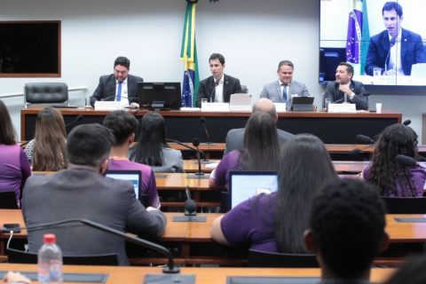 Audiência Pública na Câmara debate medidas para fortalecer serviço público