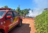 Operação Aceiro 2024: Bombeiros combatem 560 focos de incêndios no interior e na Região Metropolitana de Manaus